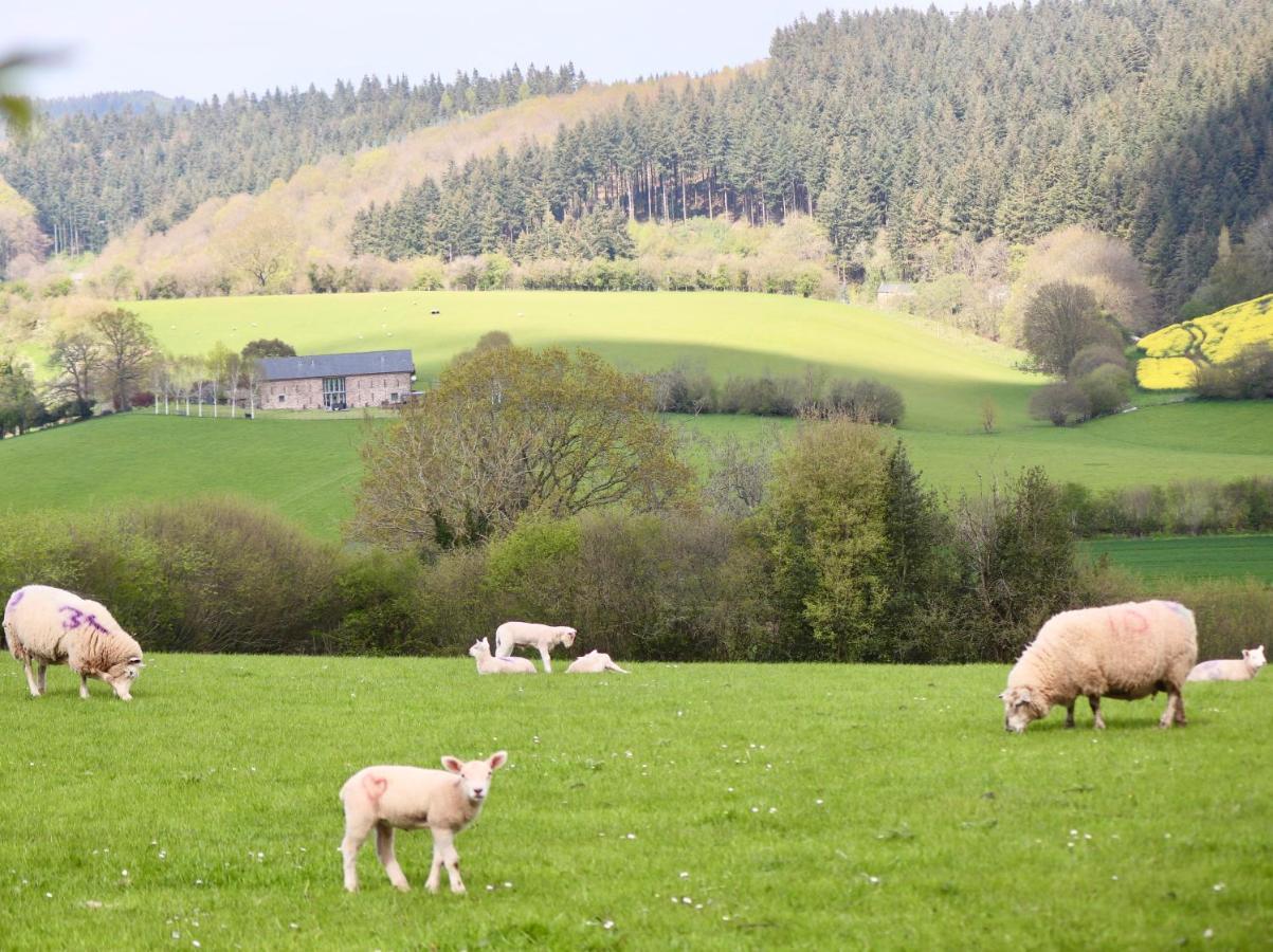 Cosy Cabins Without Hot Tub - Greenway Farm, Drybrook, Forest Of Dean Exterior foto